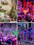 200 LED Music Sync Fairy Lights - Color Changing