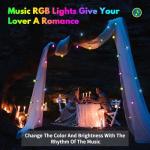 50ft Color Changing Musical Outdoor String Lights