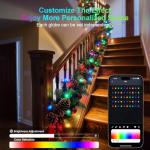 33Ft Smart RGB Globe String Lights with Music Sync