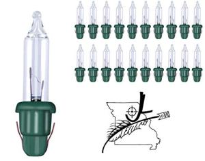 20 Mini Clear Christmas Light Bulbs for Music