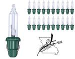 20 Mini Clear Christmas Light Bulbs for Music