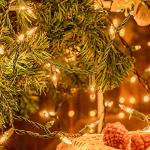 50-Count White Mini Christmas Lights for Music