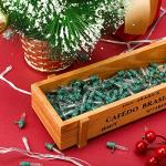 240 LED Replacement Bulbs for Christmas Lights