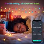 33Ft Smart RGB Globe String Lights with Music Sync