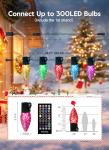Brightown C9 LED Music Sync Christmas Lights