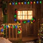 Solar Strawberry String Lights - 50LED Multicolor