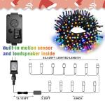 Synchronized Music Christmas Lights with Motion Sensor