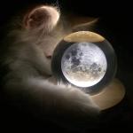 3D Crystal Ball Music Box with LED Projection