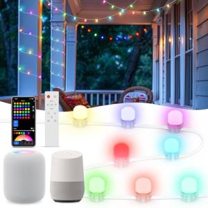Smart RGB+IC Music Sync String Lights 76ft