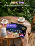 Smart RGB+IC Music Sync String Lights 76ft