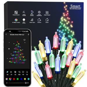 Smart Color Changing Christmas Lights, 65ft, WiFi App