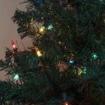 Hopolon 50 Clear Mini Christmas String Lights