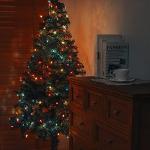 Hopolon 50 Clear Mini Christmas String Lights