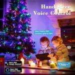 Smart Color Changing Christmas Lights, 65ft, WiFi App