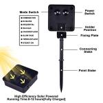 100 LED Solar Music Sync String Lights - 2 Pack