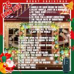30-Piece Musical Christmas Lights with 25 Songs