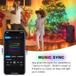 Smart App Christmas Tree String Lights with Remote