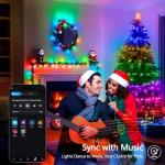 100 LED RGB Christmas Lights with Music Sync