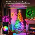 100 LED RGB Christmas Lights with Music Sync