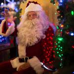 25 Pack Multicolor C7 Christmas Light Bulbs