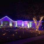 25 Pack Multicolor C7 Christmas Light Bulbs