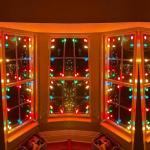 25 Pack Multicolor C7 Christmas Light Bulbs