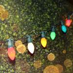 25 Pack Multicolor C7 Christmas Light Bulbs