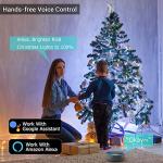 Brizled WiFi Smart Color Changing Christmas Lights