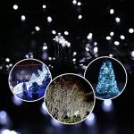 Synchronized 33ft Fairy Lights with Controller