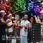 Brizled WiFi Smart Color Changing Christmas Lights