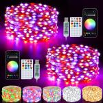 66Ft Smart Fairy Lights with Music Sync