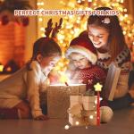 Remote Control Christmas Lights with Music Sync