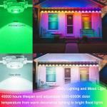 53.8ft Music Sync Outdoor Christmas Lights