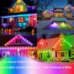 53.8ft Music Sync Outdoor Christmas Lights