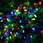 Solar C6 Strawberry String Lights with 50 LEDs