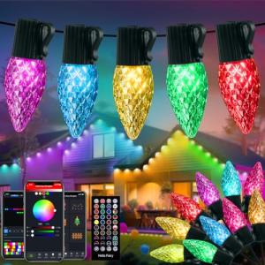 Smart Christmas Lights, 100 LED Music Sync C9