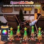 Smart Outdoor Christmas Lights with Music Sync