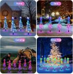 Smart Outdoor Christmas Lights with Music Sync