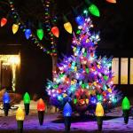 Solar-Powered C9 Pathway Lights with 20 Stakes