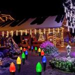 Solar-Powered C9 Pathway Lights with 20 Stakes