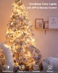 66Ft Smart Fairy Lights with Music Sync
