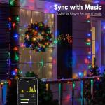 BrizLabs Smart LED Music Sync Christmas Lights 164ft