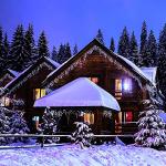 400 LED Music-Synchronized Icicle Lights - 32.8Ft