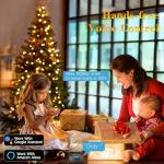 BrizLabs Smart LED Music Sync Christmas Lights 164ft