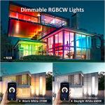 Color Changing Smart Flood Light with Music Sync