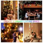 33Ft Smart Globe Music Sync Fairy Lights