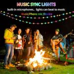 33Ft Smart Globe Music Sync Fairy Lights