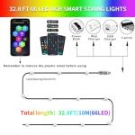 33Ft Smart Globe Music Sync Fairy Lights