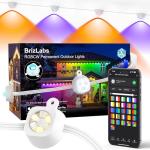 BrizLabs 100ft Smart LED Christmas Music Lights