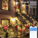 Brizled 66FT Smart Christmas Lights with Music Sync